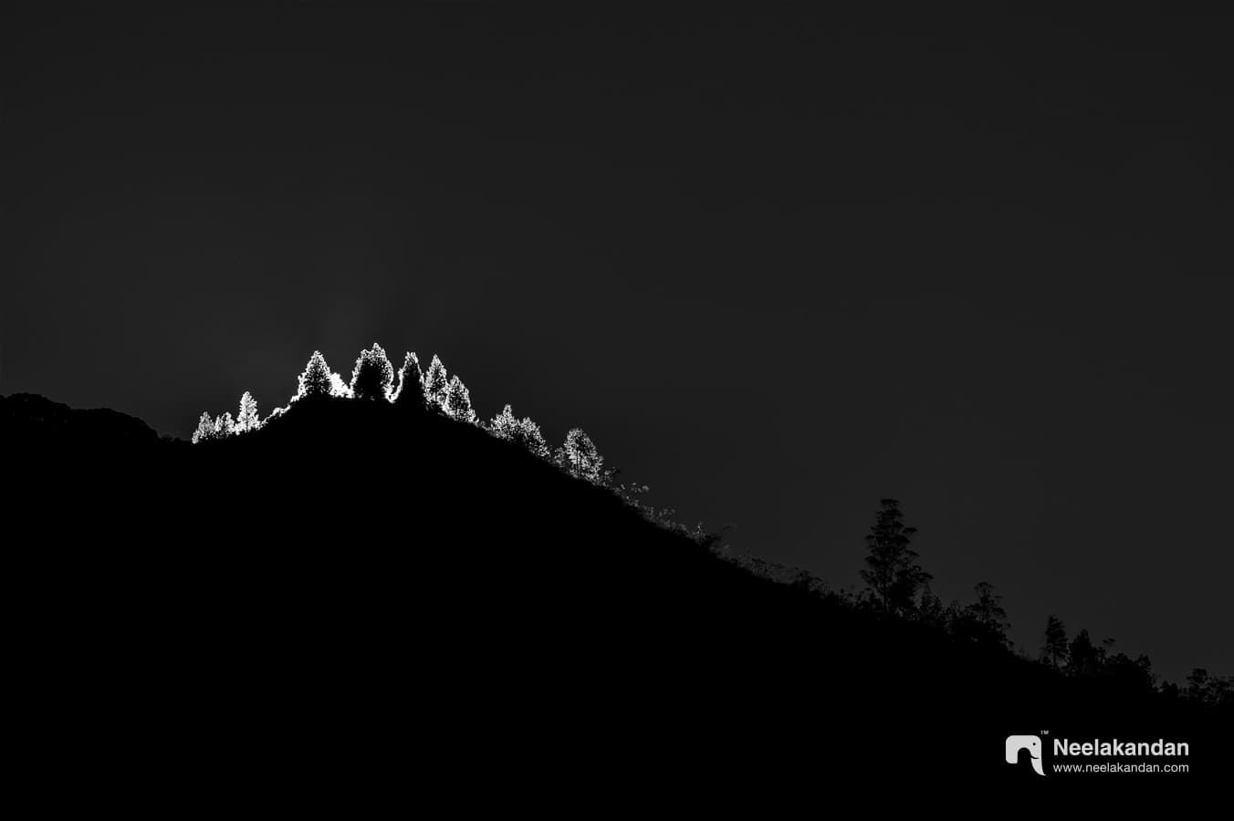 Sun rise at Pampadum Sholay National Parkark