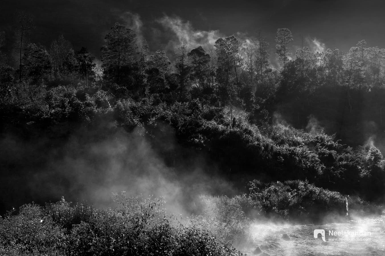 The mist of Pampadum Sholay