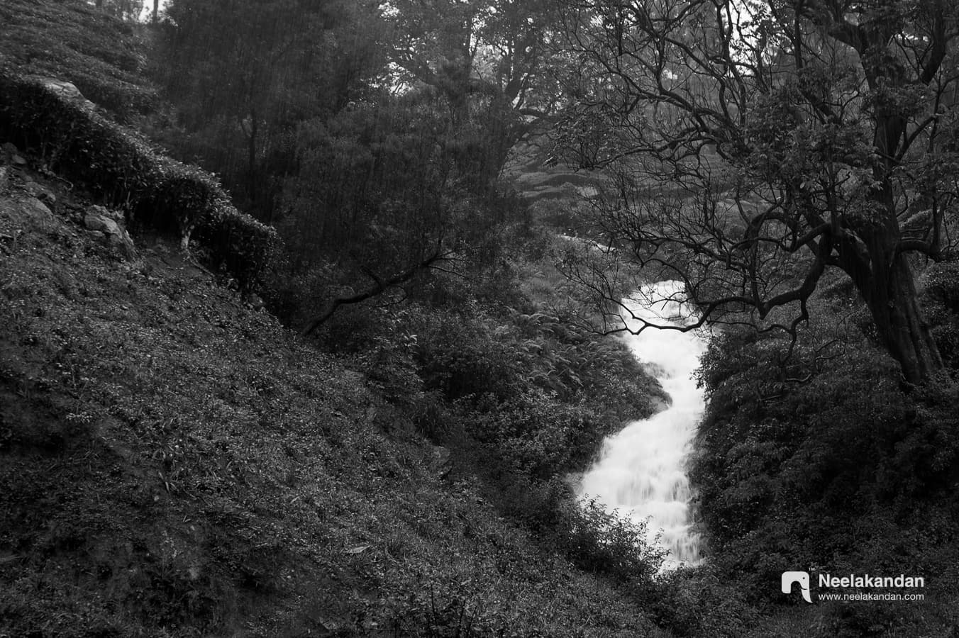 Temporary falls that are formed during the monsoon