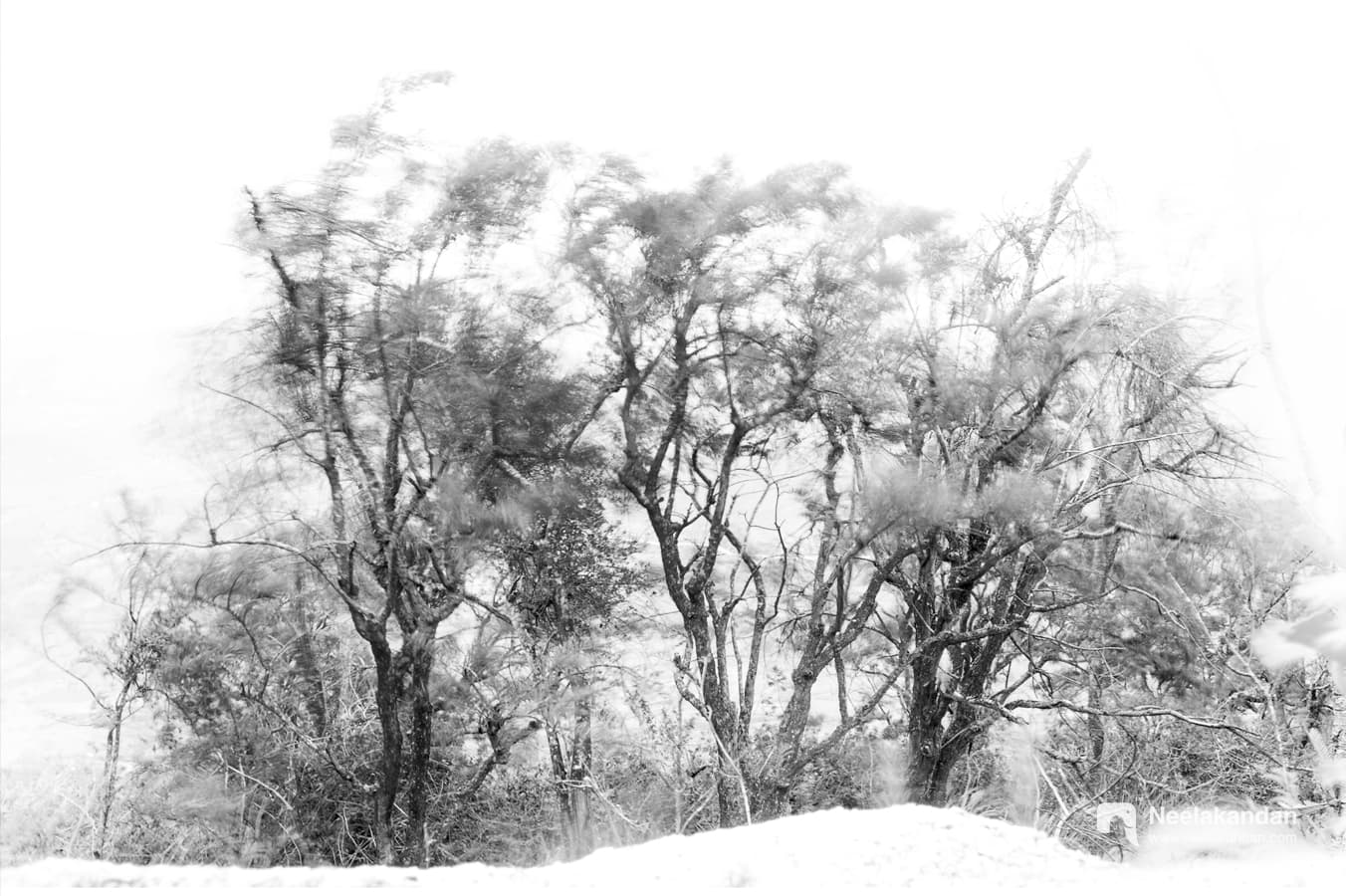 Heavy windy terrain at the hill top of Attapadi