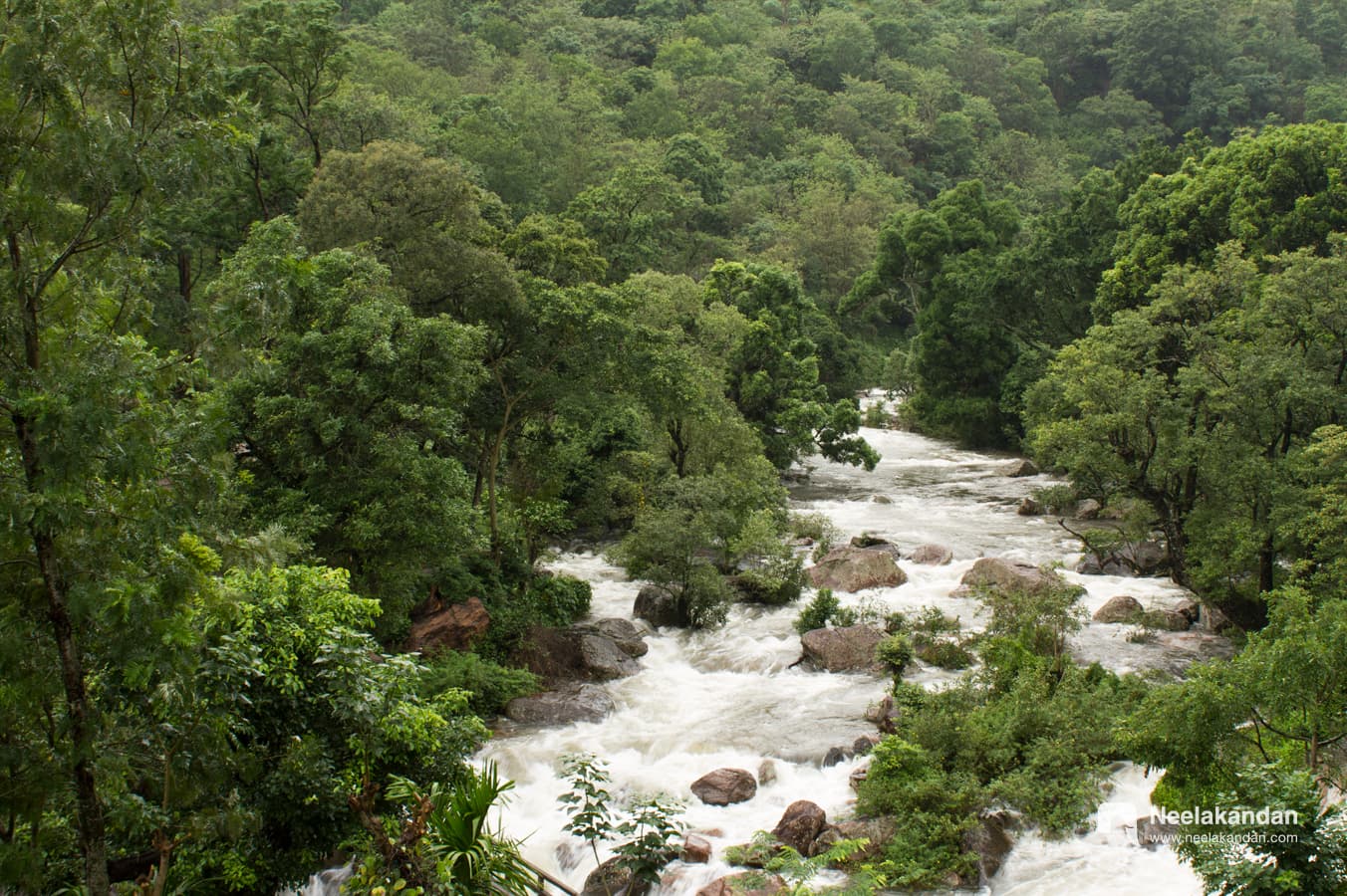 Milky Pambar River flying through chattamunnar
