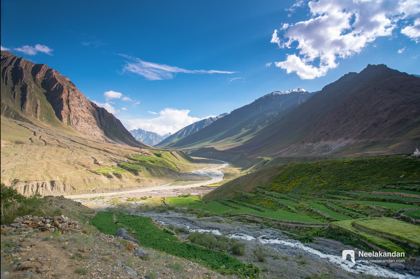 Wildlife landscape of Kibber