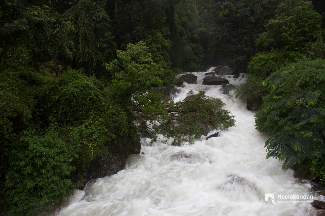 The furious Pambar river