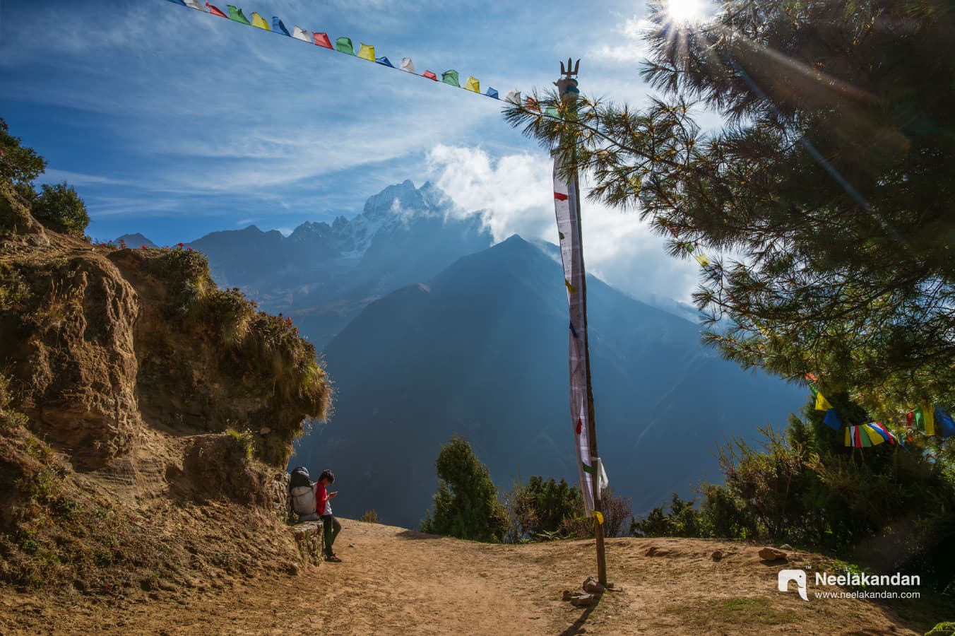 Wildlife landscape photograph