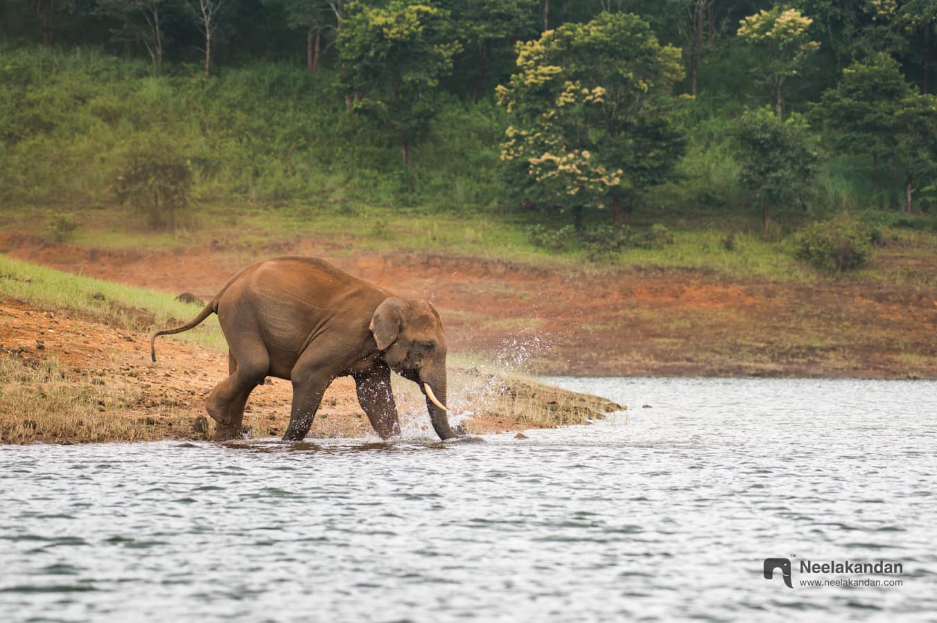 About to cross the river